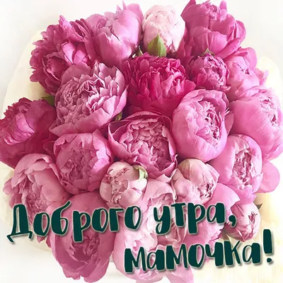 🌹ДО СЛЁЗ КАК ТРОГАТЕЛЬНО!🌹 ДОБРОЕ УТРО! С Добрым Утром! Музыкальная  открытка | СТИХ О МАМЕ - YouTube