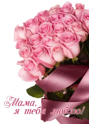 Букет тюльпаны и гипсофилы \"Люблю тебя мама\" купить в интернет-магазине