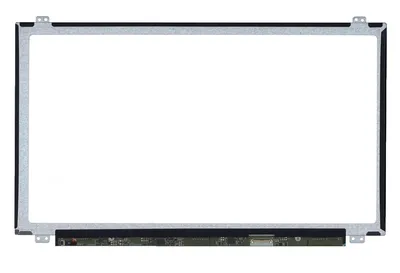 Матрица ноутбука 15.6 \" 1366х768 HD LED 40pin  (LTN156AT18/LTN156AT19/B156XW04) UltraSLIM — купить оптом в  интернет-магазине Либерти