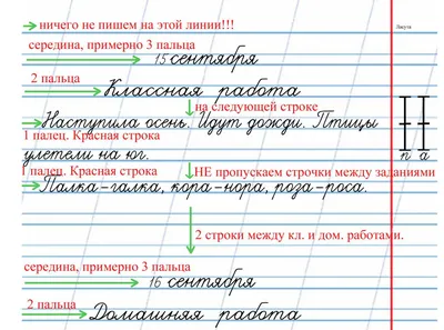 С 1 класса детей учат строго соблюдать правила оформления тетрадей. А так  ли важно 10 или 11 клеток пропущено от начала строки? | ЕжиХа | Дзен