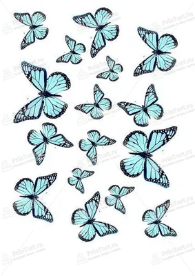 Картинка для торта \"Бабочки\" - PT100072 печать на сахарной пищевой бумаге |  Бесплатные трафареты, Бабочки, Трафареты для печати