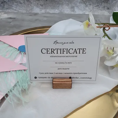 Набор коробок пеналов из картона для подарочных сертификатов | Marketry