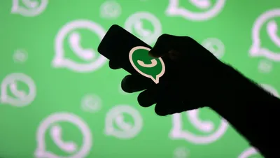 Pact - Как добавить аккаунт WhatsApp Business в профиль Instagram*