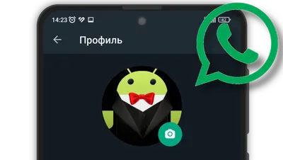 WhatsApp ограничит, а затем удалит ваш профиль, если не примете новые  правила - 19.04.2021, Sputnik Кыргызстан