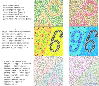 тест дальтоников / смешные картинки и другие приколы: комиксы, гиф  анимация, видео, лучший интеллектуальный юмор.