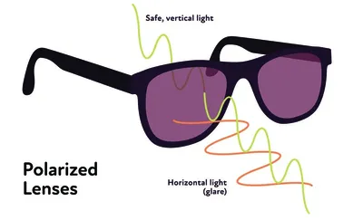 Поляризационные очки – что это, как проверить, зачем нужна поляризация?