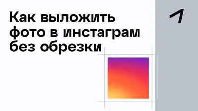 Монетизация в Instagram — как зарабатывать на публикации контента в 2023  году ✔️ Блог Webpromo