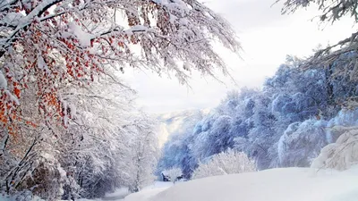 Картинки природа, зима, снег, красиво, горы, домик - обои 1600x900,  картинка №194739
