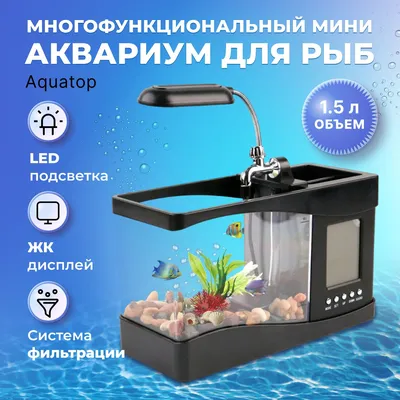 Декоративный аквариум для домашнего рабочего стола, аквариум для мелких рыб  | AliExpress