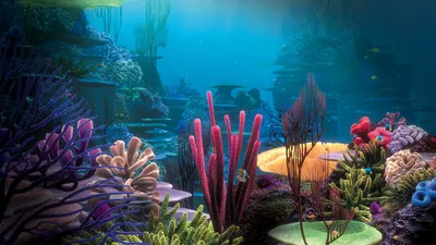 Мини аквариум для рыб Aquatop многофункциональный - купить с доставкой по  выгодным ценам в интернет-магазине OZON (912086387)