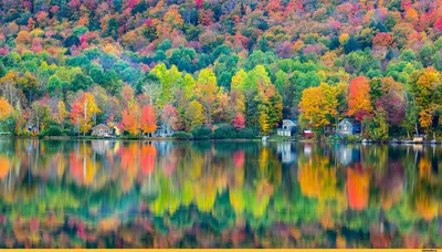 лес :: красивые картинки :: краски :: обои для рабочего стола :: почти  осень :: Природа (красивые фото природы: моря, озера, леса) :: пейзаж /  картинки, гифки, прикольные комиксы, интересные статьи по теме.