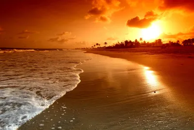 Обои для рабочего стола пляжа Море Природа Пальмы рассвет и закат