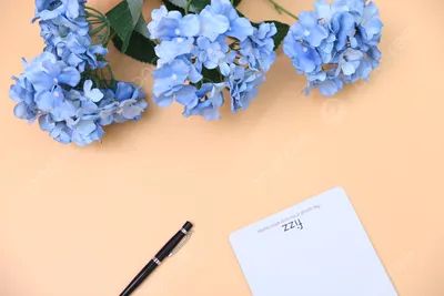 Обои цветы, природа, лепестки, весна, голубые для рабочего стола,  pechenocna flowers HD wallpaper | Pxfuel