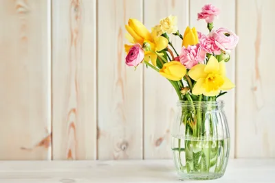 Обои для рабочего стола Букеты Тюльпаны Лютик Цветы Нарциссы