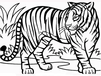 Раскраски тигр, Раскраска Зоопарк Скачать или распечатать раскраску бегущий  тигренок Раскраски распечатать Дикие животные.