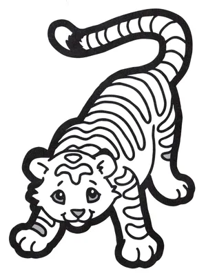 Раскраска тигр раскраски с тиграми...