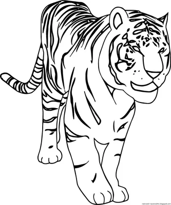 Раскраска Молодой тигр - распечатать бесплатно