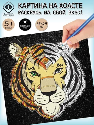 Раскраски тигра для 5 лет (53 фото) » рисунки для срисовки на Газ-квас.ком