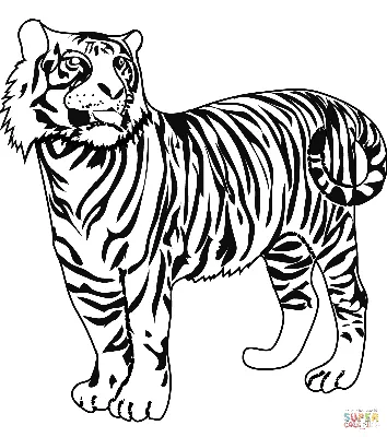 Раскраски Тигра на Новый 2022 год. Новогодние картинки для раскрашивания -  Раскраскина