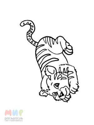 Вектор тигра для раскрашивания книги на изолированном фоне Иллюстрация  вектора - иллюстрации насчитывающей конспектов, свободно: 156110952