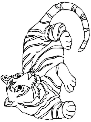 рисунок милое мультяшное лицо тигра для раскрашивания контурного рисунка  вектор PNG , рисунок автомобиля, мультфильм рисунок, рисунок тигра PNG  картинки и пнг рисунок для бесплатной загрузки