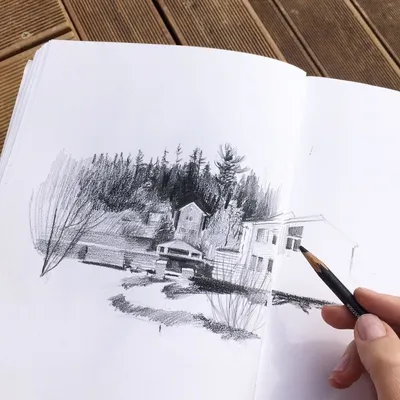 Карандаш с нуля - полноценный онлайн курс рисования карандашом для  начинающих в школе рисования «Найди Себя»