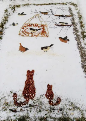 Нетрадиционное рисование клеем и манной крупой «Зима» — Селогорский  сельский Дом культуры