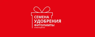 Торговый центр Festival City в Омске | Правила Новогоднего розыгрыша призов  - Торговый центр Festival City в Омске