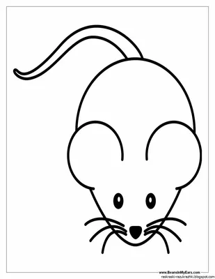 KidToys.pro - Сокровищница детских игр и игрушек, познавалок и развлекушек  - Мышка. Учимся рисовать мышку. Урок рисования мышки по шагам для детей. # мышь #мышка #мышонок #урок #рисование #учимся #рисовать | Facebook