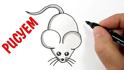 Раскраски Раскраска Рисунок мышки мыш, скачать распечатать раскраски.