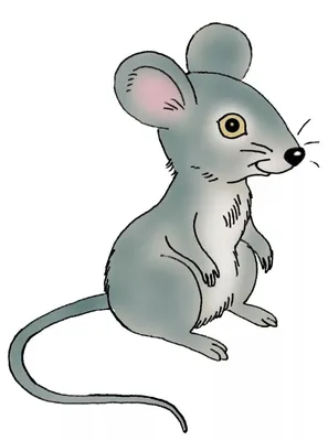 Онлайн урок рисования - Рисунок мыши гуашью для детей студия Богема