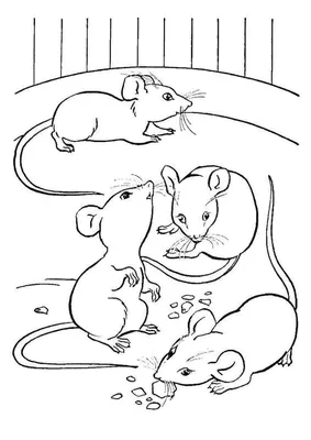 Милая мышь рисунок (60 фото) » Рисунки для срисовки и не только