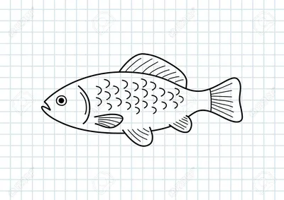 Золотая рыбка рисунок трафарет (43 фото) » рисунки для срисовки на  Газ-квас.ком