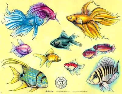 Рисунок рыбки для детей карандашом - 53 фото