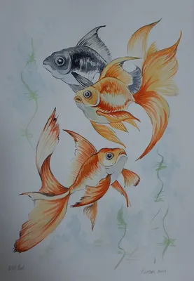 Рыбка для срисовки» — создано в Шедевруме