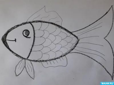 Детский рисунок ,,Три рыбки,, Stock Illustration | Adobe Stock