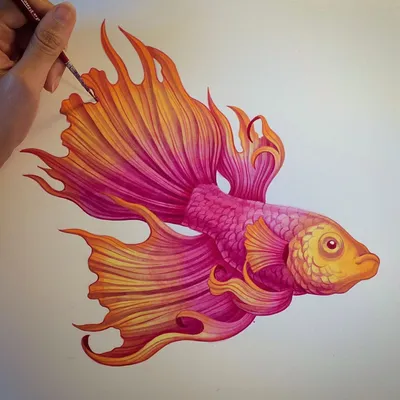 Рисунок для детей рыба (18 шт)