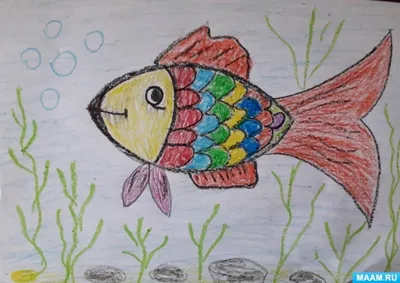Рисунки рыбки для начинающих (49 фото) » рисунки для срисовки на  Газ-квас.ком