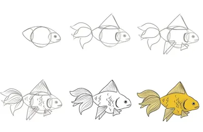 Рисунки рыбки для срисовки (30 лучших фото)