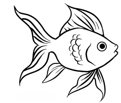 Раскраски милая рыбка (45 фото) » Картинки, раскраски и трафареты для всех  - Klev.CLUB