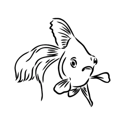 Рисунки рыбки для срисовки (100 фото)