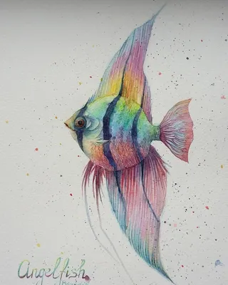 Раскраска рисунок золотая. Рисунок золотая рыбка. Раскраски в формате А4.