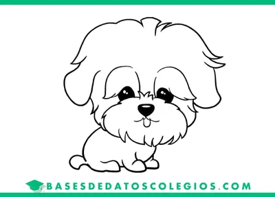 графический рисунок с изображением собак, собаки с разными орнаментами  Stock Illustration | Adobe Stock