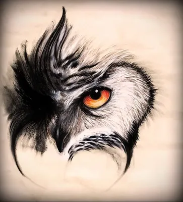 Как нарисовать сову. Лёгкий рисунок для срисовки. How to draw an Owl -  YouTube