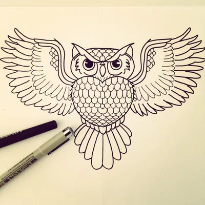 Урок рисования совы часть 1 | Пикабу