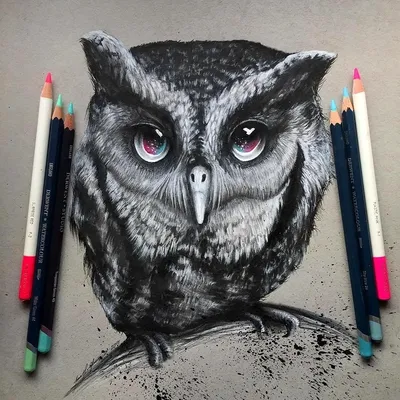 Рисунок совы карандашом легкий поэтапно (48 фото) » рисунки для срисовки на  Газ-квас.ком