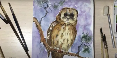 Рисунки совы для срисовки (100 фото)