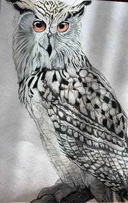 рисунок большой совы с опущенной головой, сова картинки рисунок, сова,  птица фон картинки и Фото для бесплатной загрузки