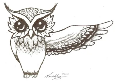 Иллюстрация Эскиз совы для интерьерного рисунка в стиле реализм,