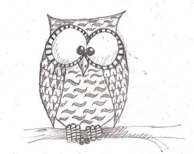 Рисунок совы карандашом для срисовки - 39 фото